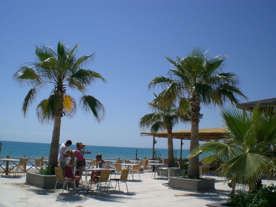 Hotelterrasse/Essbereich Hotel Andiz Beach