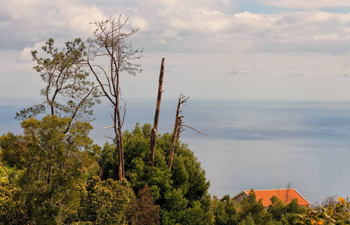 Aussicht vom Hotelpool aus Hotel Atrio