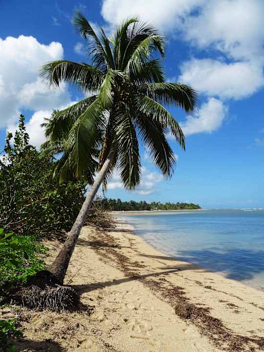 Strandspaziergang Bahia Principe Grand El Portillo