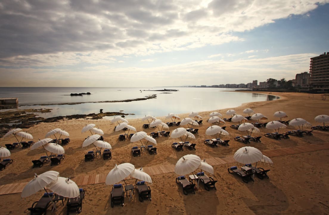 Beach Arkin Palm Beach Hotel