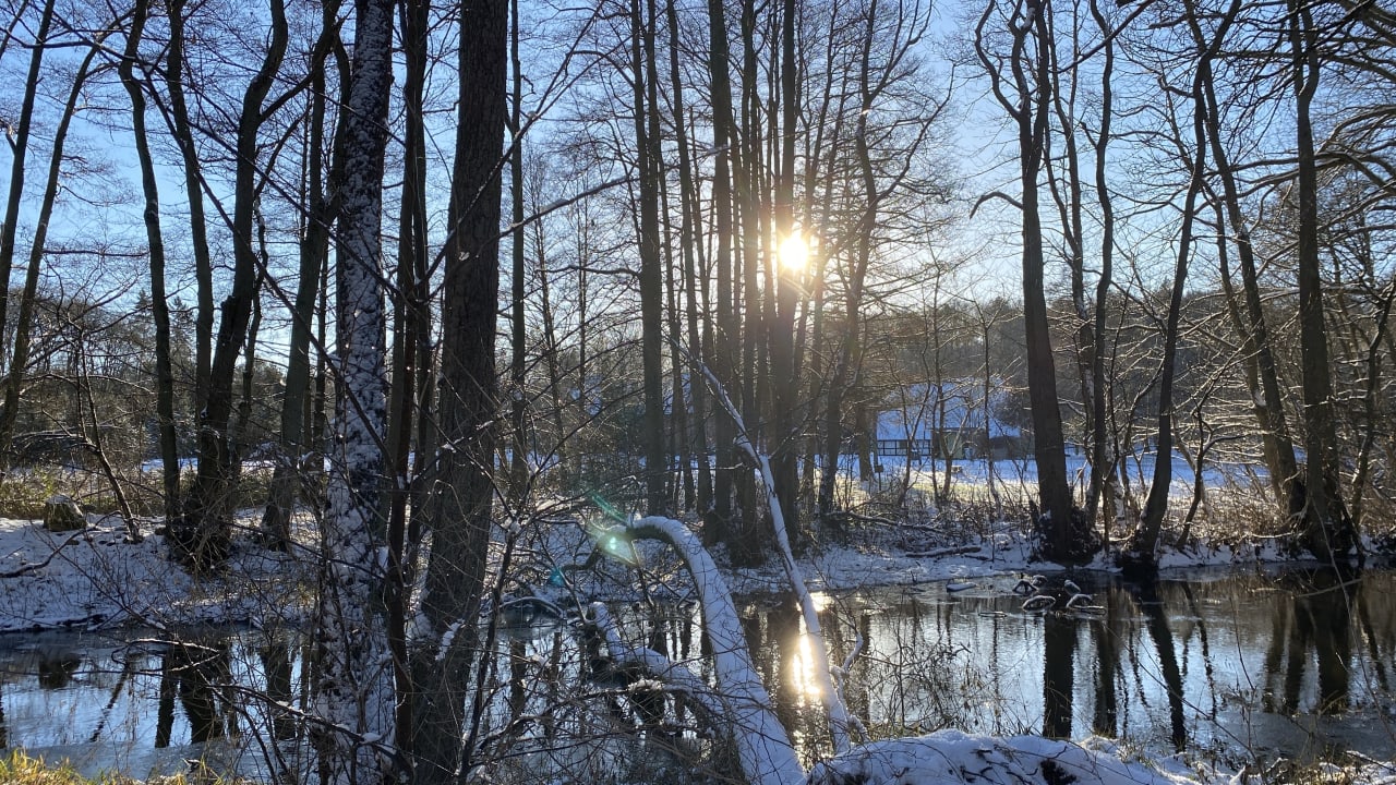 Außenansicht Schlosshotel Basthorst