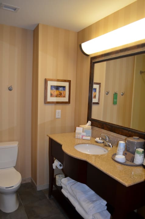 Das Badezimmer Hotel Hampton Inn San Antonio Airport