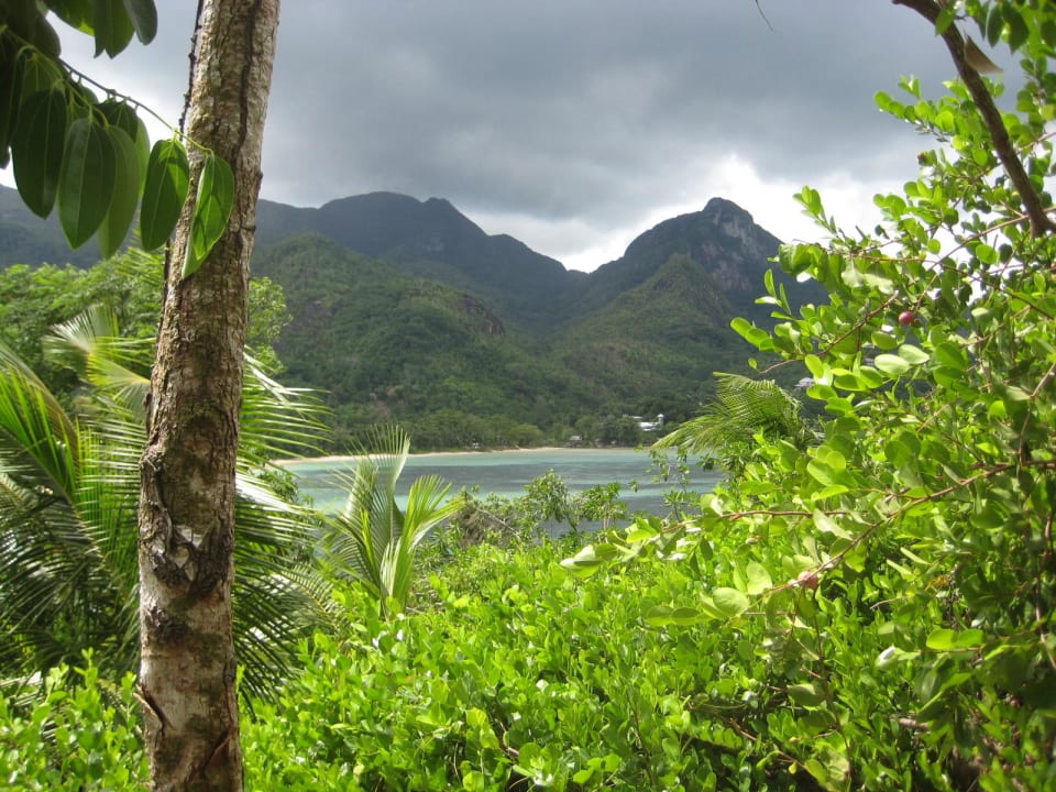 Nordstrand Constance Ephelia