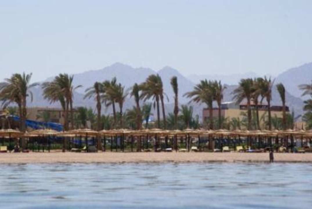 Prosto z morza na hotel i synaj Sea Beach Edge By Rotana