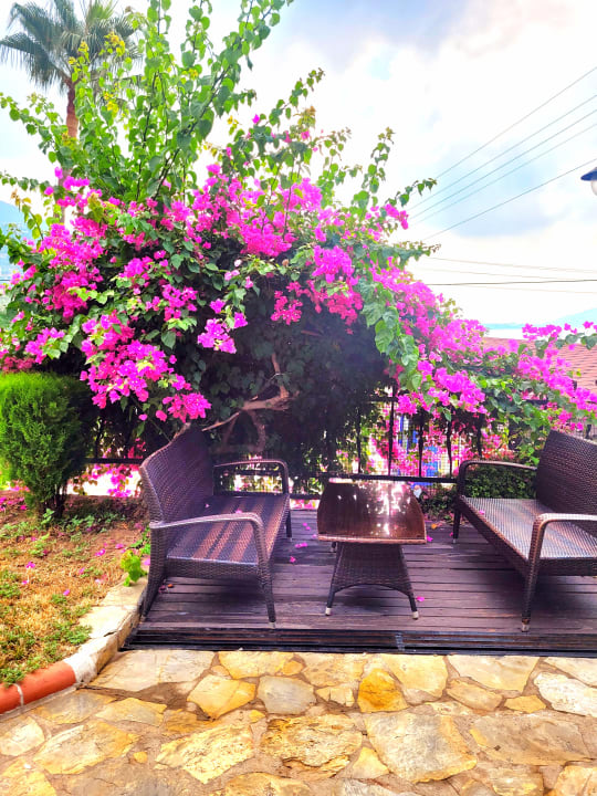 Sonstiges La Finca Marina