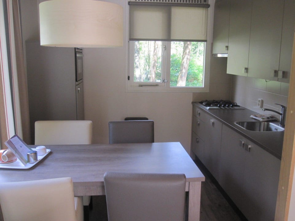 Koch- und Essbereich Typ 4C Ferienpark Landal Coldenhove