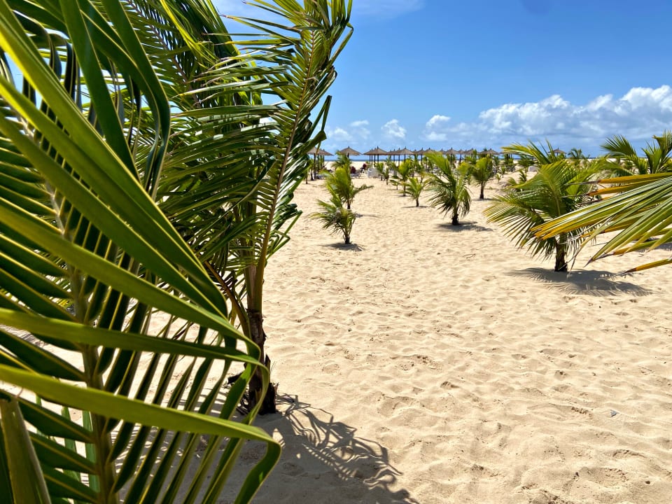 Strand Hotel Riu Palace Santa Maria