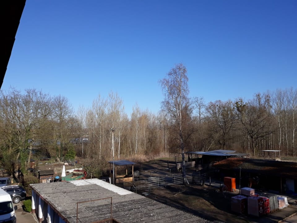 Ausblick Cafe Restaurant Rheinstrom