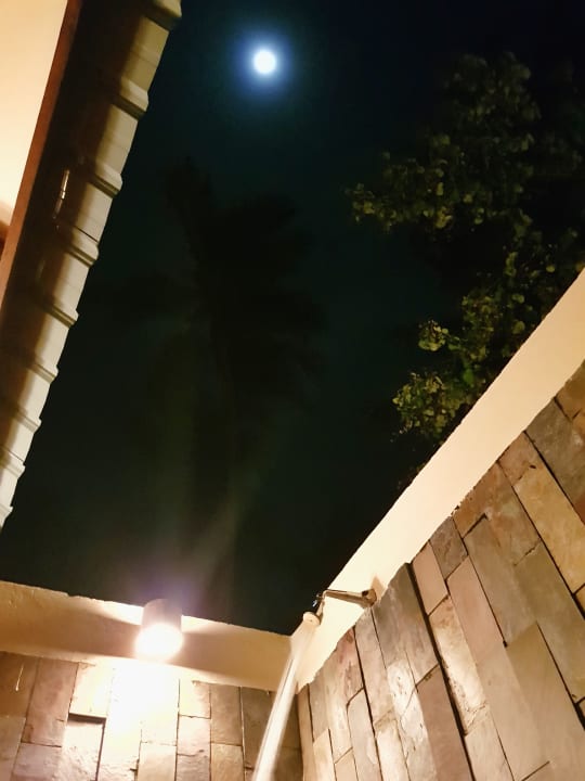 Zimmer Filitheyo Island Resort