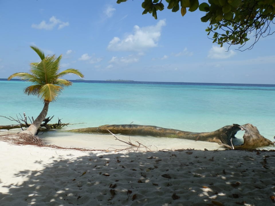 Traumhaft schön Kuredu Island Resort & Spa