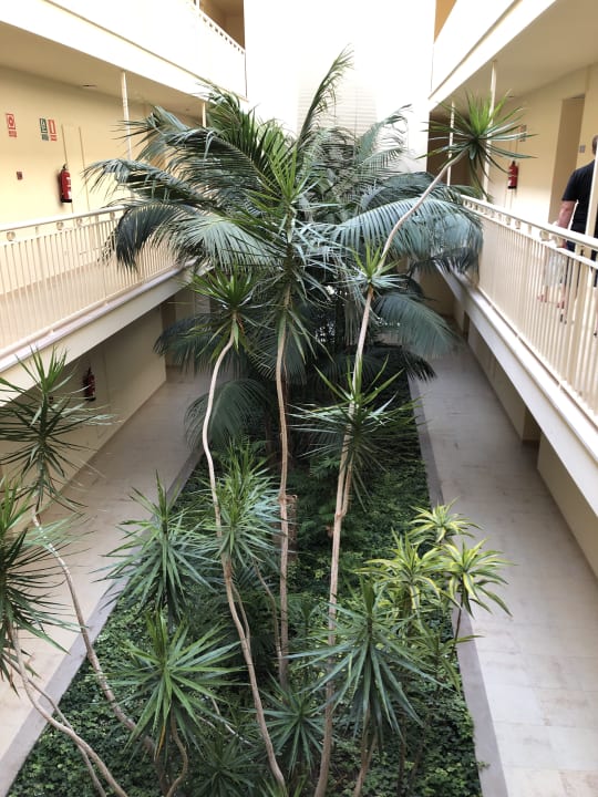 Ausblick Zafiro Mallorca