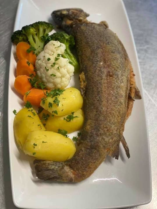 Gastro Gasthaus Hirsch