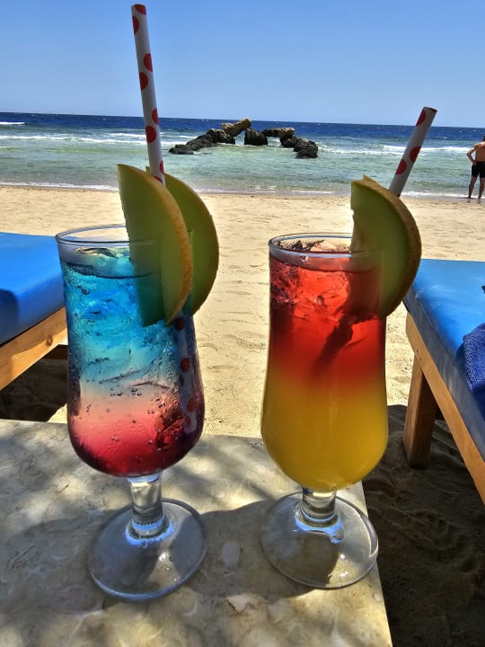 Gastro Pickalbatros Citadel Resort