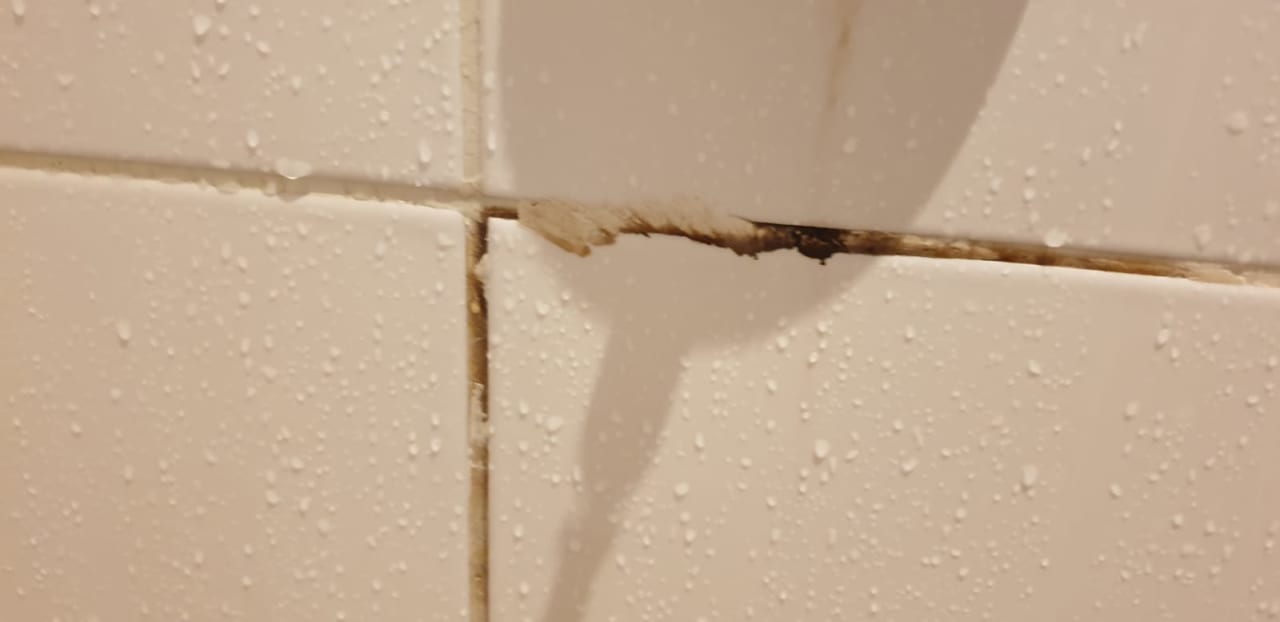 Zimmer Club Paradisio El Gouna, Red Sea