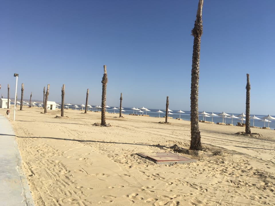 Strand Pickalbatros Sea World Resort - Marsa Alam
