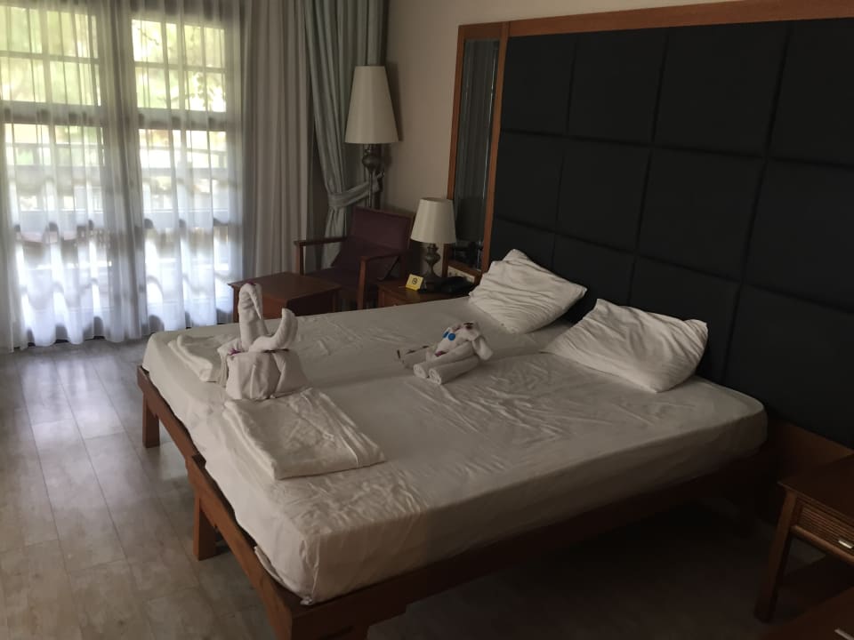 Zimmer Asteria Family Belek