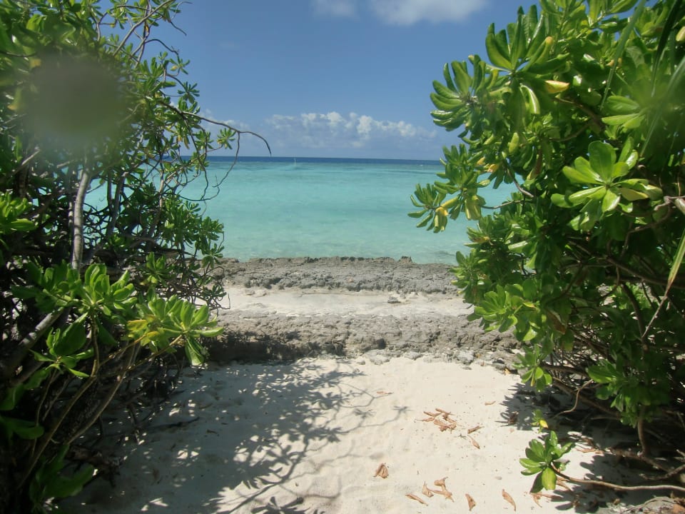 Nähe Sandbank Riffseite, Einstieg 8 Kuramathi Maldives