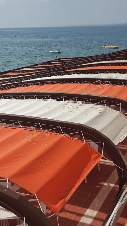 Vogelkot auf der ganzen Terrasse  Salamis Bay Conti Resort Hotel & Casino