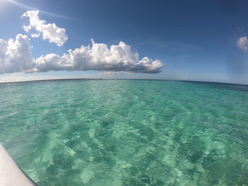 Strand Hotel Riu Republica - Adults only