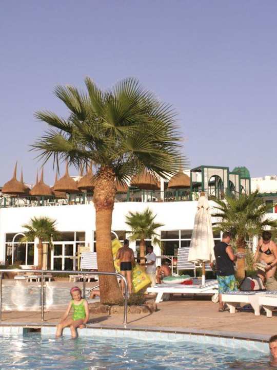 Przy basenie Hotel Amarante Garden Palms Resort