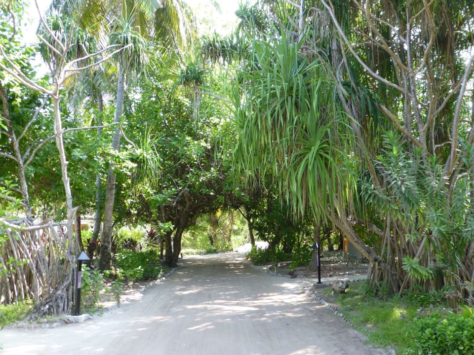 Äußerst gepflegte Grünanlagen LUX South Ari Atoll