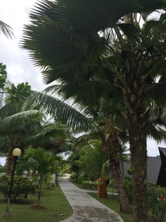 Garten La Digue Island Lodge