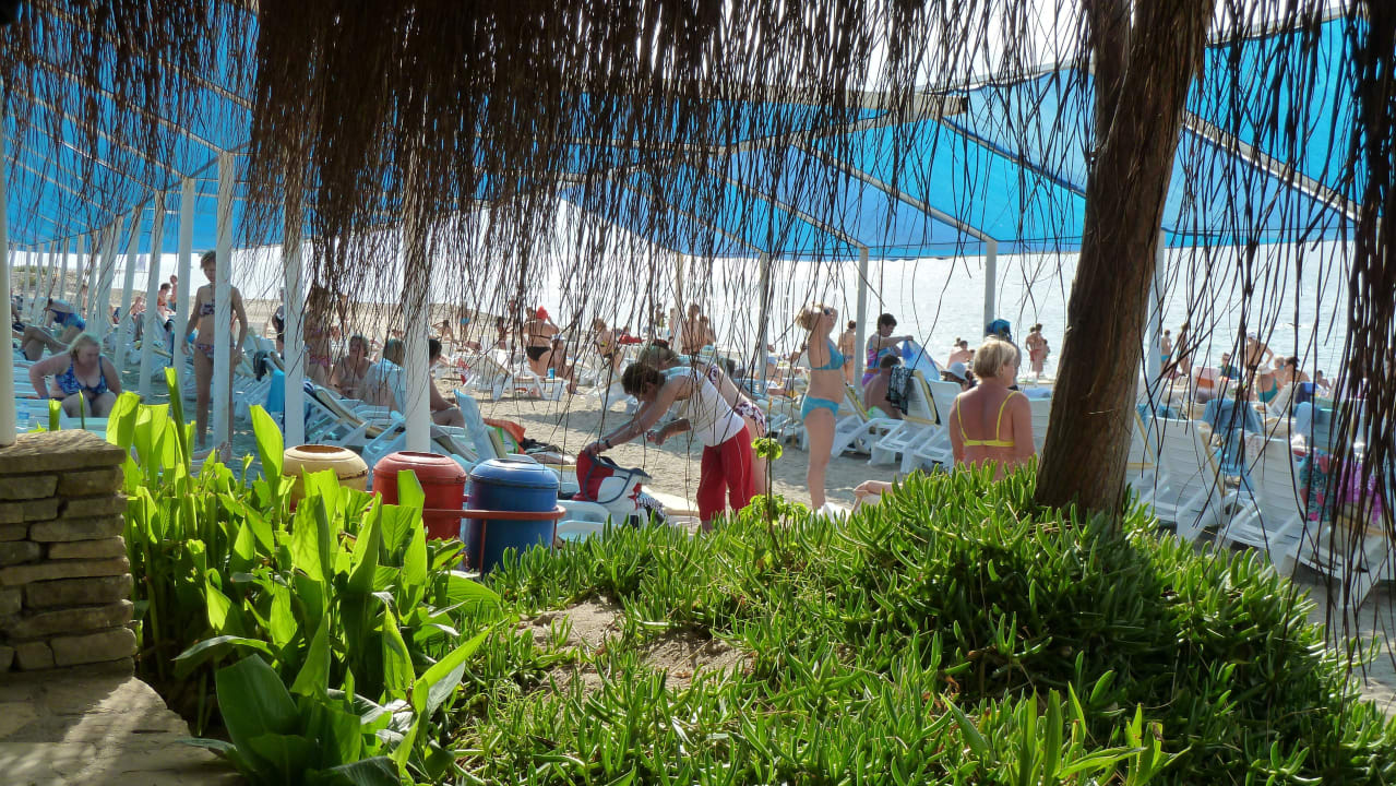 Strandbar Crystal Admiral Aqua Collection