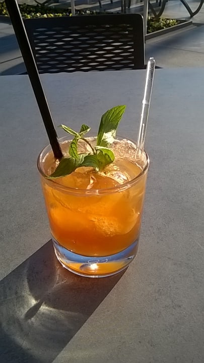 Gastro Acanthus Cennet Barut Collection