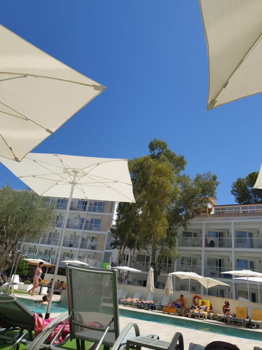 Pool BQ Bulevar Paguera - Adults only
