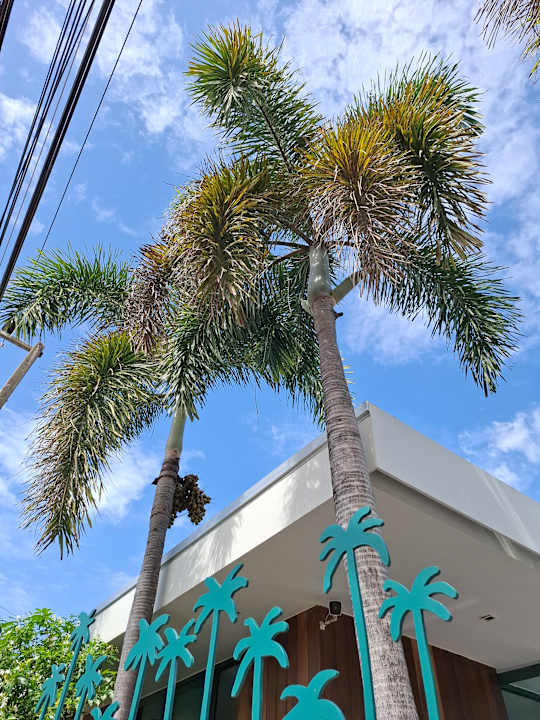 Außenansicht Banlansuan Resort