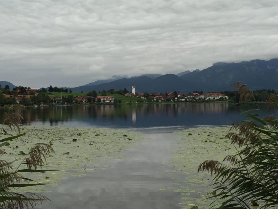 Blick auf den Hopfensee Hotel Alpenglühn