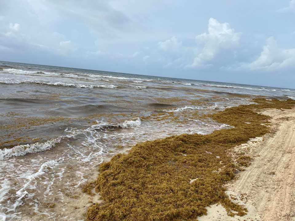 Strand Hotel Riu Yucatan