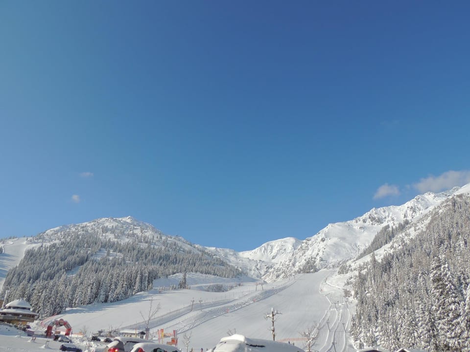Ausblick vom Zimmer Hotel Almhof