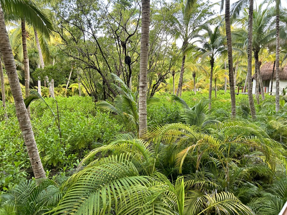 Gartenanlage Akumal Bay Beach & Wellness Resort
