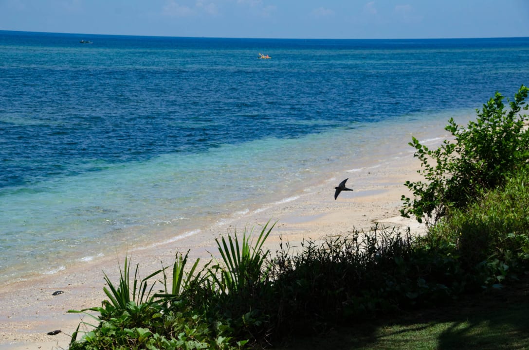 Strandblick von der Liegewiese Hotel The Oberoi Lombok