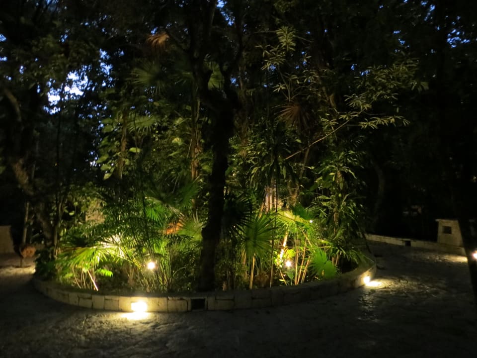 Dschungelpfad von der Lobby zum Strand Catalonia Royal Tulum Beach & Spa Resort - Adults only