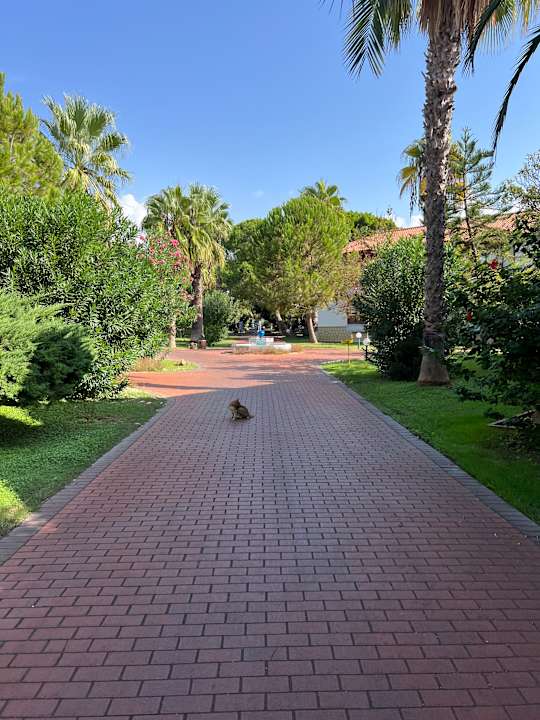 Außenansicht Ali Bey Club