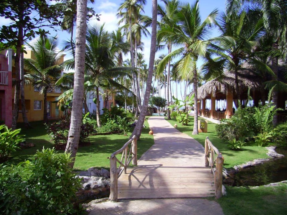 Gartenqanlage Hotel Bahia Estela Caribe