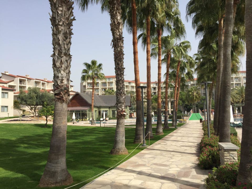 Gartenanlage Arum Barut Collection