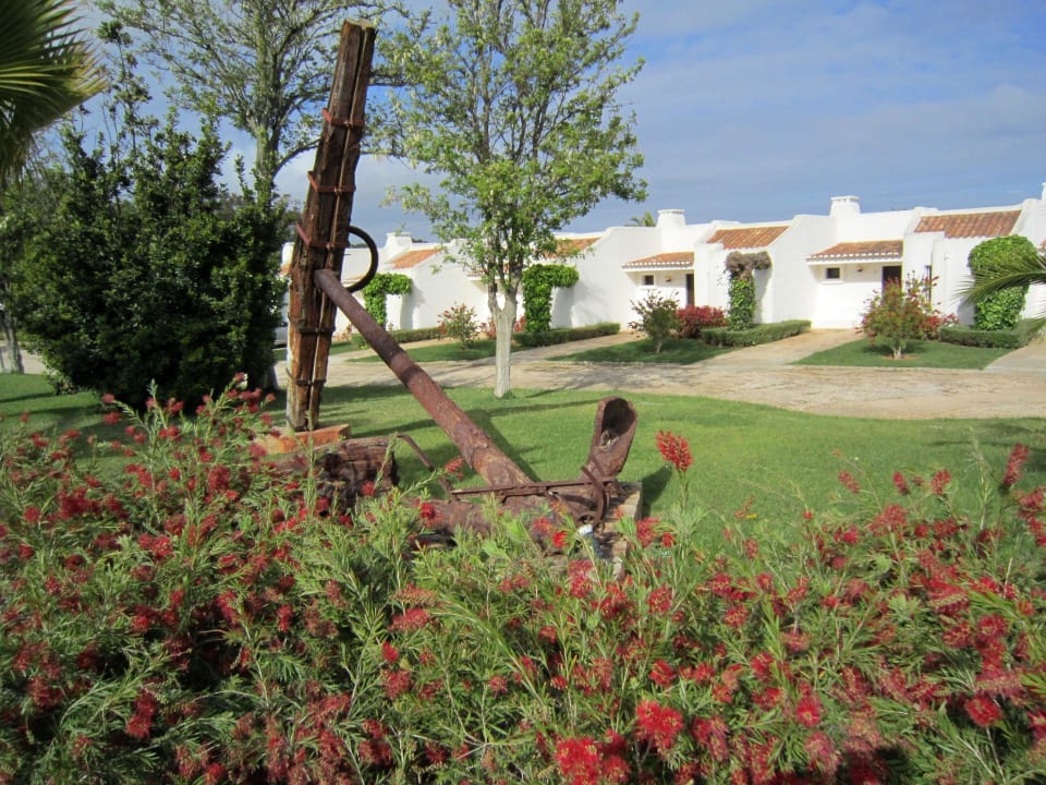 Gartenanlage vor den Ferienhäusern Hotel Ancora Park