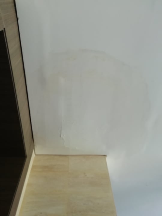 Lobby Hotel Rosa Beach