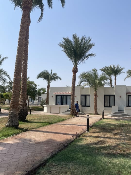 Gartenanlage Pharaoh Azur Resort