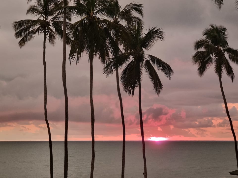 Ausblick Tangerine Beach Hotel