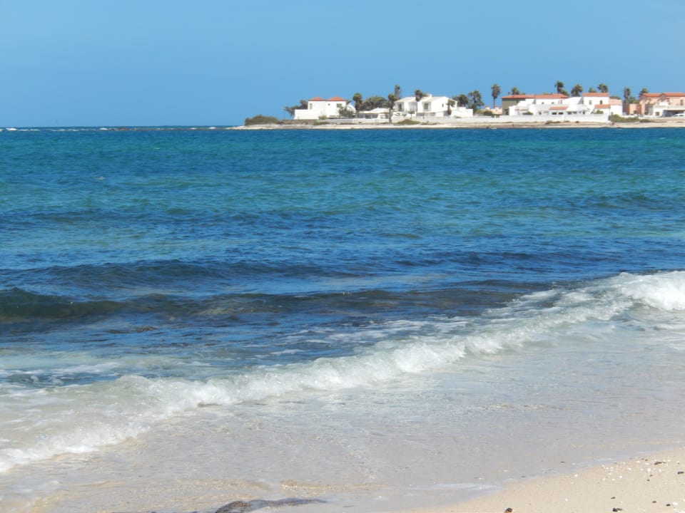 Granda playa ( plage de dunas) 15 mn en bus Hotel Oasis Dunas