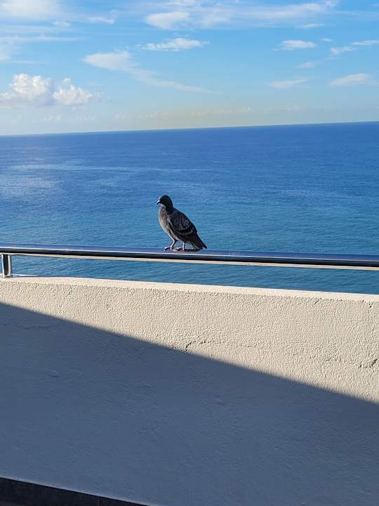 Zimmer Hotel Orca Praia