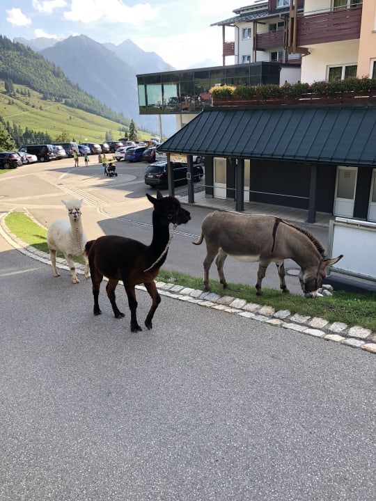 Sonstiges Oberjoch - Familux Resort