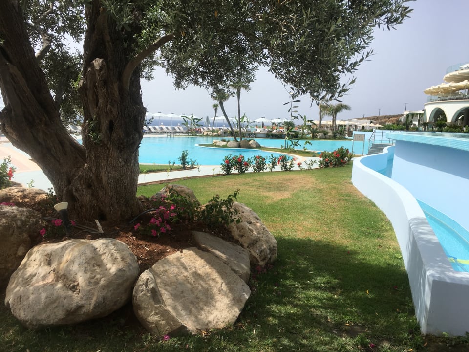 Pool Atrium Prestige Thalasso Spa Resort & Villas