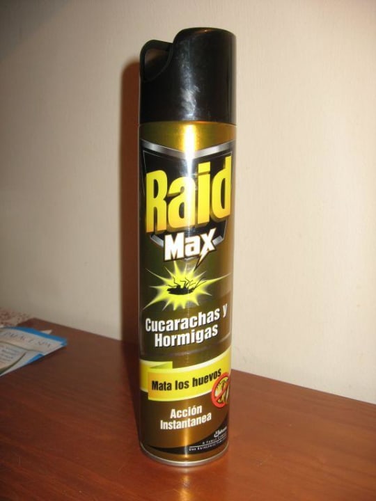 Raid Max Hipotels Natura Palace