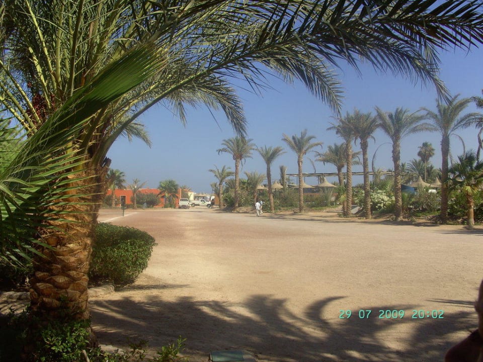 Der Weg zum Stand Giftun Azur Resort