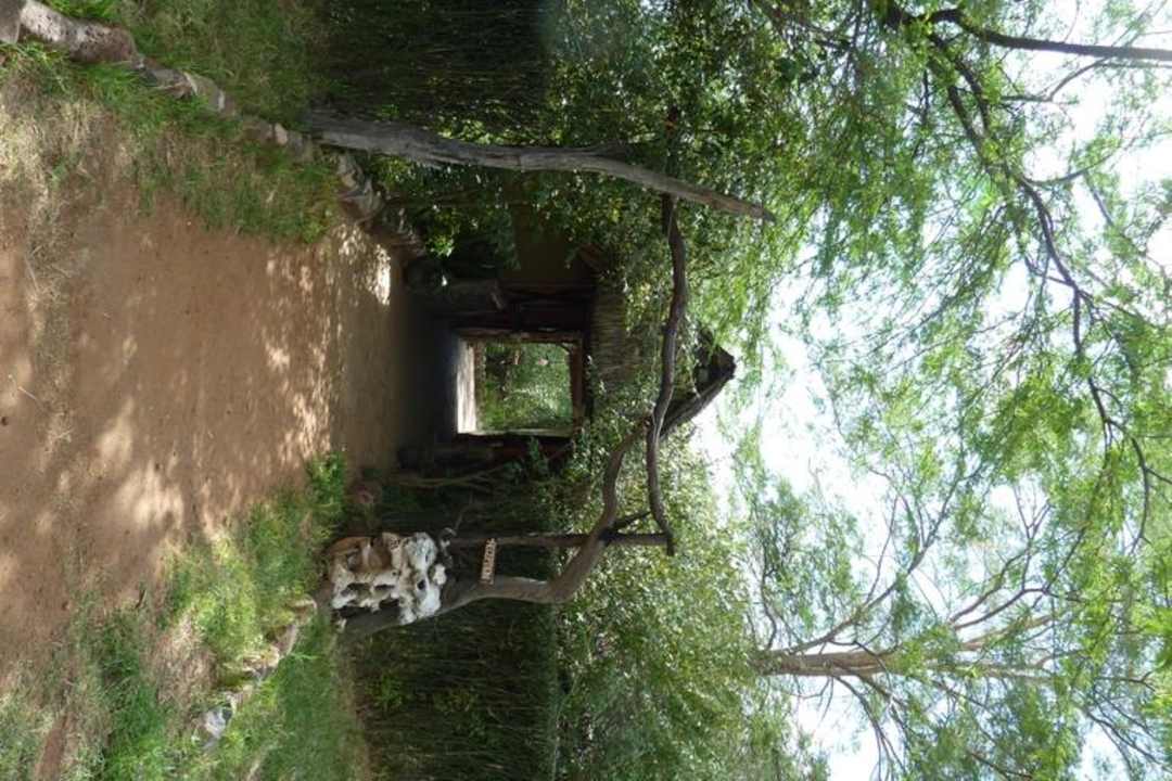 Eingang zur Rezeption Aruba-Mara Camp